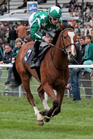 Einen Gruppesieg in England, genauer in Lingfeld, steuerte Emerald Star bei. www.galoppfoto.de - Sandra Scherning