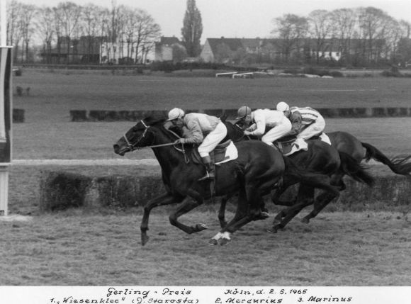 128 - Wiesenklee im Gerling-Preis 2.5.65