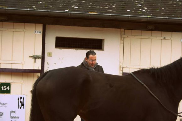 Auch die deutsche Käufer und Verkäufer waren in Deauville sehr aktiv. www.arqana.com