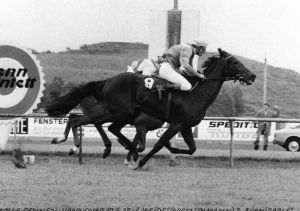 186 - Weide im Wolke-Rennen 10.6.78