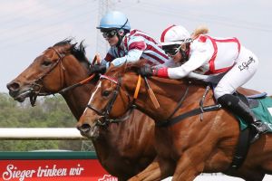 Totes Rennen 2019 in Magdeburg zwischen den später im Amateurchampionat vorn Platzierten. www,galoppfoto.de - Peter Heinzmann