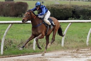 Auch auf der Sandbahn dabei: Mit Big Ian gewann Laura Giesgen am 08.12.2019 in Neuss. www.galoppfoto.de - Stephanie Gruttmann