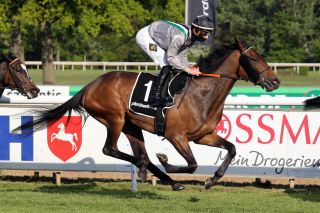 Als Gr. II-Siegerin vor wenigen Wochen bei der Arqana hervorragend verkauf: Durance. www.galoppforo.de - Frank Sorge