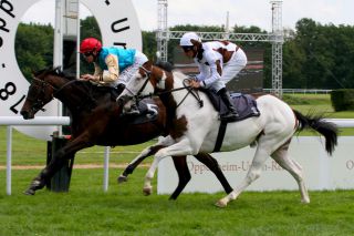 Toller zweiter Platz für den Schecken Silvery Moon mit Andrasch Starke beim Deutschland-Debut hinter der Röttgenerin Sharin: www.galoppfoto.de - Sandra Scherning