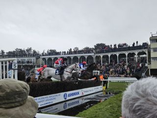 Steeple Chase in Ludlow mit Sprung vor der Tribüne. Foto: Karina Strübbe