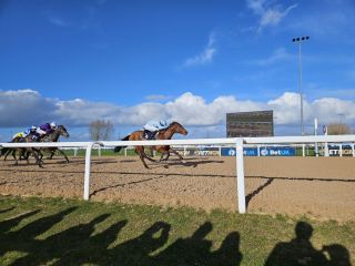 Clreendon House gewinnt die Hever Sprint Stales in Southwell. Foto: Karina Strübbe