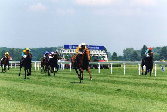 204 - Wurftaube Attelage-Rennen 09.06.96