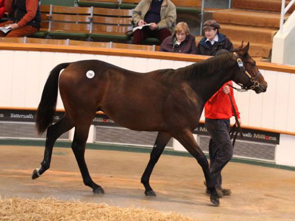 230.000gns. gab es für diesen Rip van Winkle-Sohn. www.tattersalls.com