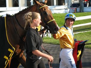 230 - Absattelring Faehrhofer Stutenpreis