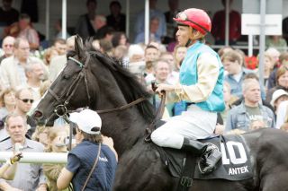 Platz zwei u.a. mit Antek, war das bisher beste Ergebnis für Adrie de Vries im Deutschen Derby. www.galoppfoto.de - Sabine Brose