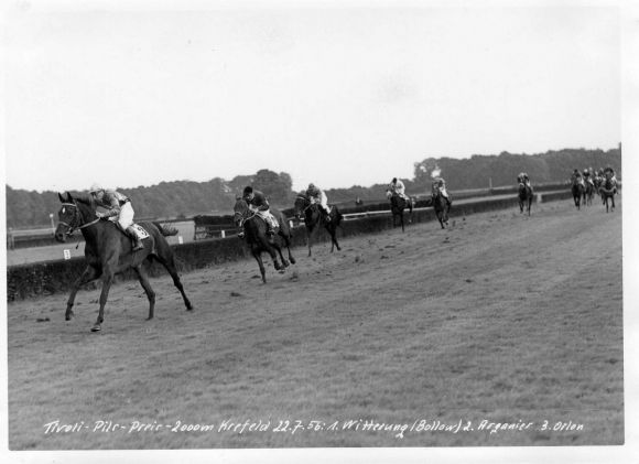 48 - Witterung Bollow im Tivoli-Pils-Preis-Rennen am 22.7.56 in Krefeld