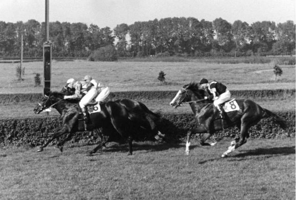 52 - Wahnfried-Rennen Windfang Gummelt am 23.9.56 in Dortmund