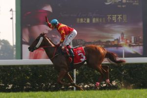 In Macau landet Andreas Helfenbein mit Lucky And Wealthly seinen ersten Gruppesieg 2013. Foto: Macau Racing