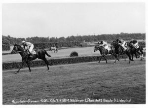 73 - Oppenheimrennen Waidmann Starosta 3.8.58