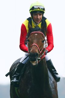 Adrie de Vries in Japan. Hier sitzt er auf der Yoshida-Stute Spitze.  www.galoppfoto.de - Yasuo Ito