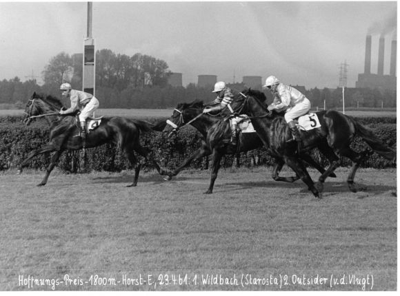 95 - Hoffnungs-Preis 23.4.61 Wildbach