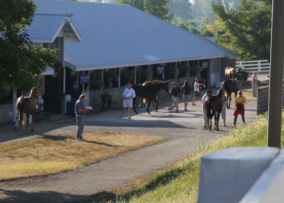 Die größte Jährlingsauktion der Welt in Keeneland mit einem positiven Zwischenfazit. Keeneland Coady Photography.jpg