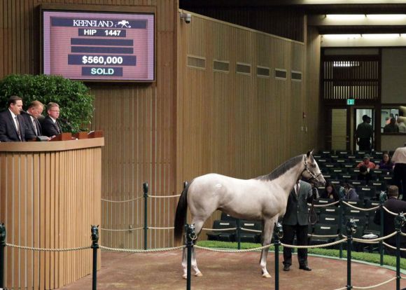 Dieser Sohn von Unbridled's Song erlöste 560.000 US-Dollar bei der Sept. Yearlings Sale 2010. KeenelandCoady Photography 