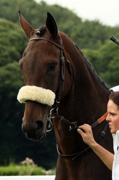 Glady Romana beim  125. Preis der Diana. Foto Sandra Scherning