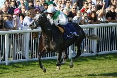 Die frische Badener Gr. I-Siegerin Night Magic präsentiert sich dem heimischen Publikum. Foto: www.turfstock.com