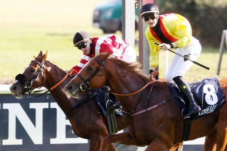 Adlerflug-Söhne 1-2:: Torquator Tasso gewinnt mit Lukas Delozier den 130. Großen Preis von Berlin für Trainer Marcel Weiß - für alle war es der erste Treffer auf Gruppe-I-Parkett. Auf Besitzerseite freut sich das Gestüt Auenquelle. Auf dem 2. Platz landete Dicaprio für das Quartier von Henk Grewe. ©galoppfoto