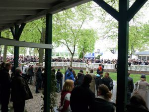 Der Führring in Frankfurt bietet einen Unterstand. Foto: Karina Strübbe