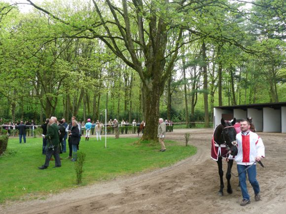 Führring mit Sicht auf die Sattelboxen. Foto: Karina Strübbe