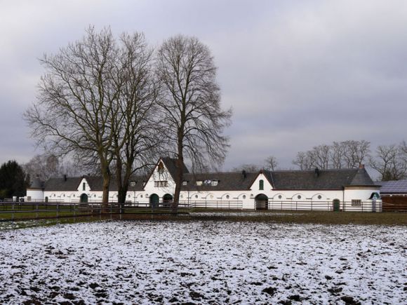 Winterwetter beim Züchtertreff in Röttgen. Foto: Karina Strübbe