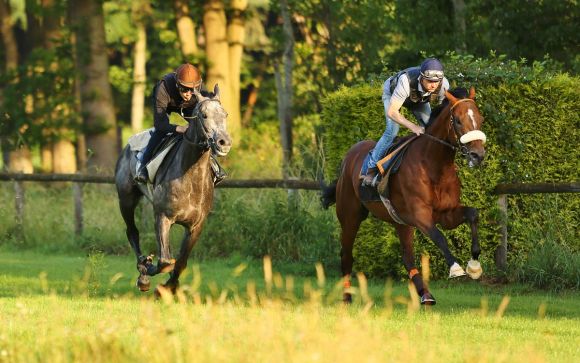 Peppone mit Ashrun 2019-06