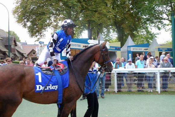 Aufsitzen: Eduardo Pedroza und Red Kardinal vor dem Prix Kergorlay,  Das Ergebnis nicht wunschgemäß: Nur Platz 5. www.dequia.de