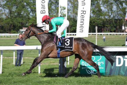 Läuft jetzt gegen internationale Konkurrenz in den klassischen 1000 Guineas in Düsseldorf: Team Valors Axana mit Eduardo Pedroza beim Sieg im Karin Baronin von Ullmann -Schwarzgold-Rennen. Foto: Dr. Jens Fuchs