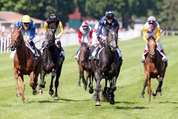 Großer Preis der Hannoverschen Volksbank - Derby Trial: Den Sieger Balmain wird man nicht in Hamburg sehen, dafür aber die dahinter platzierten Sweet Man (2.), Star Max (5.), Capone (6.), Aldenham (7.) und Destino (8.). Ein Rennen, das mehr Fragezeichen ließ als Antworten gab. www.galoppfoto.de - Frank Sorge