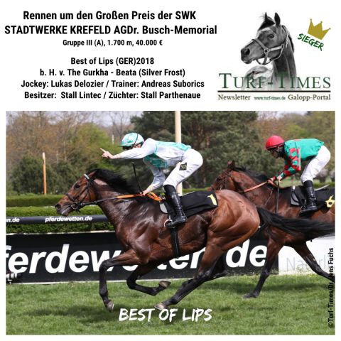 Rennen um den Großen Preis der SWK STADTWERKE KREFELD AG - Dr. Busch-Memorial , Gr. III: Best of Lips gewann mit Lukas Delozier gegen Mythico auf Gr. III-Parkett in Krefeld. @Turf-Times/Dr. Jens Fuchs