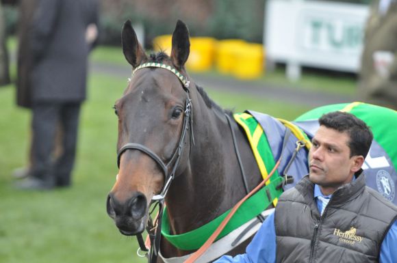 Um den Gold Cup Favoriten Long Run und Burton Port (Foto) brodelt die Gerüchteküche. Foto: John James Clark