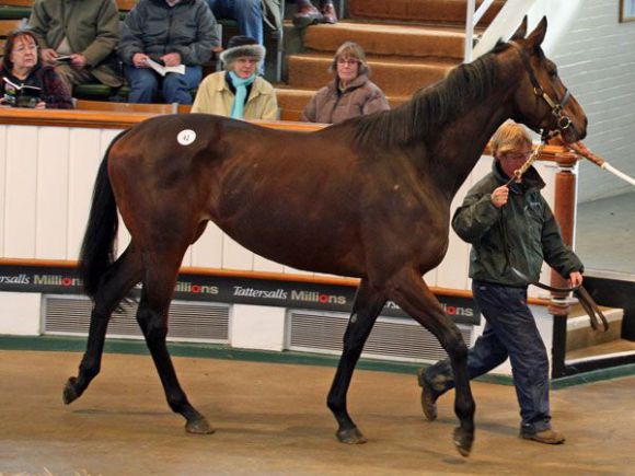 Caphene erlöste 70.000 Guineas. www.tattersalls.com