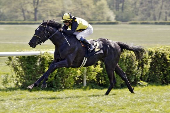 Chimney Rock 2018-04-22 Hoppegarten  galoppfoto.de