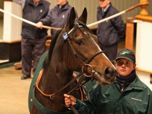 Considerate war die teuerste Juddmonte-Stute. www.tattersalls.com