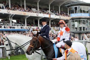 Der Sieger im SPARDA 143. Deutsches Derby