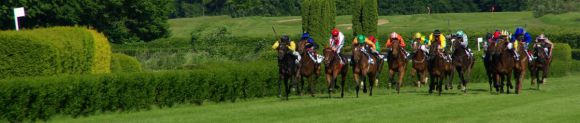 Das beeindruckende Feld mit 15 Starterinnen etwa 200 Meter vor dem  Ziel: Die Siegerin Akua'da (innen) in Führung und die Zweitplatzierte Calyxa (3. von links) dichtauf. www.dequia.de