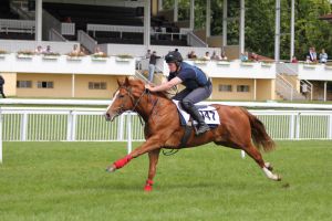 Das letzte Lot der Auktion - ein Angebot von Bansha House Stables - ging für €20.000 an Jakob Steeklein. Foto