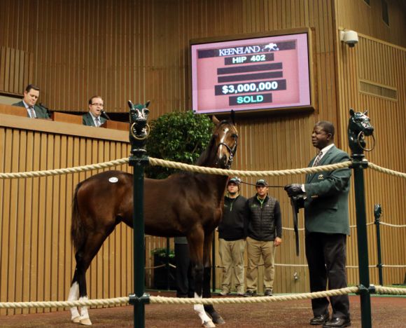 Das neue amerikanische Rekordfohlen. www.keeneland.com