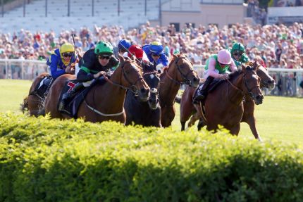 Hoppegarten lädt zu einem Doppel-Renntag ein: Das Oleander-Rennen im letzten Jahr mit dem späteren Sieger Sound Check mit Andrasch Starke in rot-weiß noch mitten im Pulk. www.galoppfoto.de - Frank Sorge