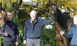 Frisch eingetroffen im Coolmore Stud: Die Neulinge Declaration Of War (links) und Camelot Foto: Coolmore