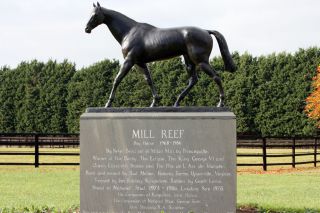 Der legendäre Mill Reef - hier seine Statue in Newmarket: Er war 1972 der erste ausländische Sieger im Prix Ganay mit beeindruckenden 15 Längen. www.galoppfoto.de