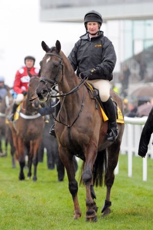 Der Namensgeber Denman führt die Parade vor den Betfair Denman Chase an. www.galoppfoto.de - John James Clark