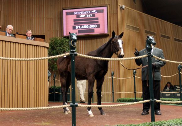 Der Rekordjährling von Street Sense. www.keeneland.com