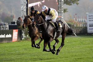 Foto der Woche, Turf-Times 190 - Synchron-Galopp