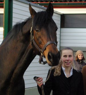 Hengstwärterin Ariane Schmidt mit Desert Prince in Röttgen. www.dequia.de