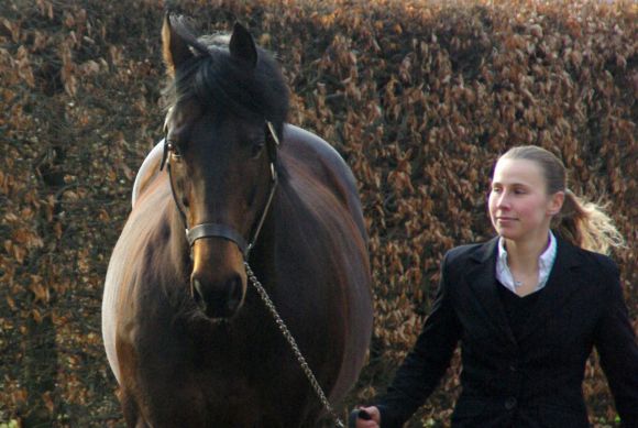 Hengstwärterin Ariane Schmidt mit Desert Prince in Röttgen. www.dequia.de