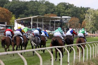 Fast alle deutschen Top-Jockey steigen an diesem Freitag in Hassloch in den Sattel. www.galoppfoto.de